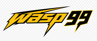wasp 99